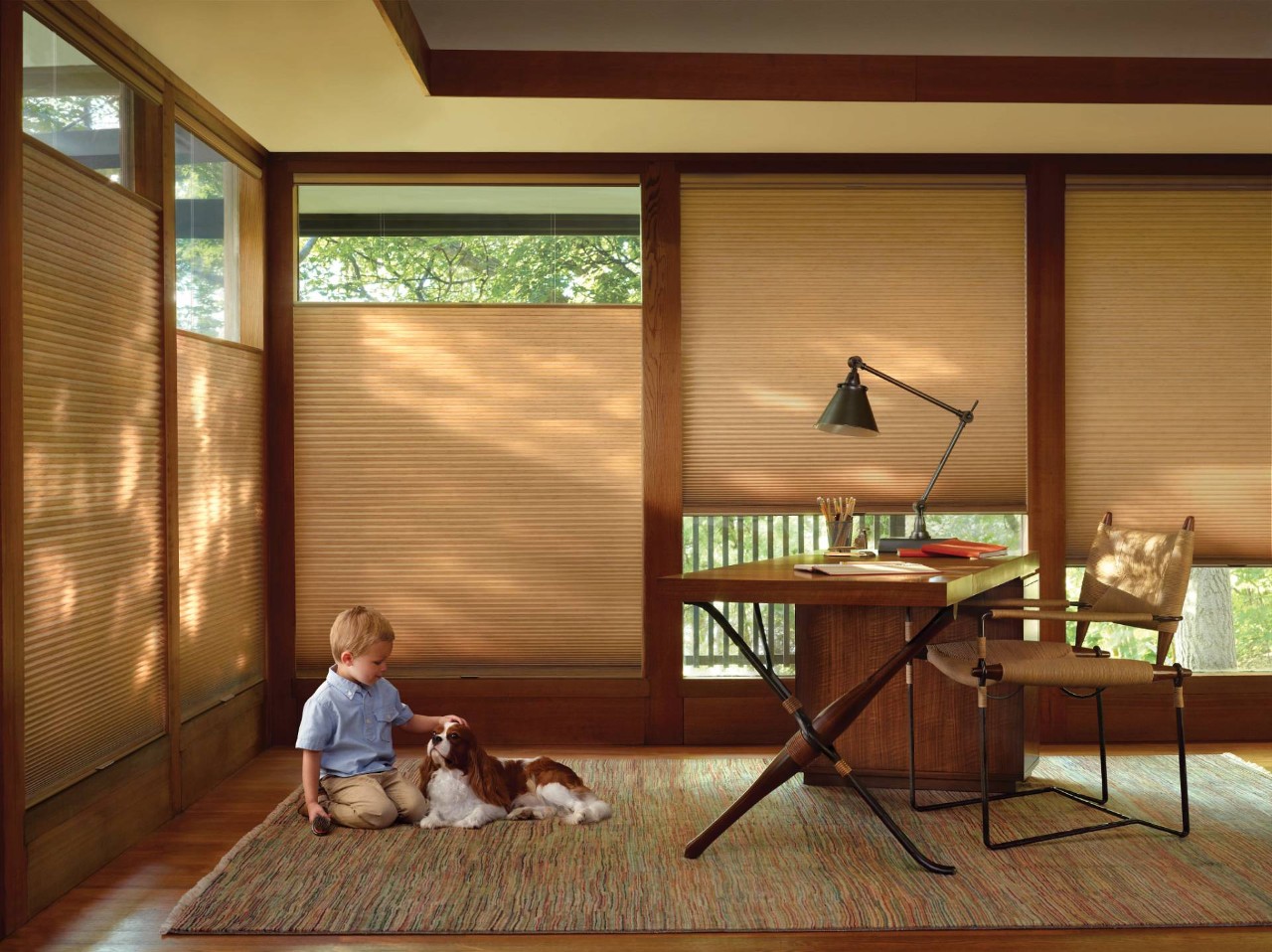 Hunter Douglas® Cellular Window Treatments near Boone, North Carolina (NC)